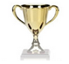 Manhattan FireProtection Trophy